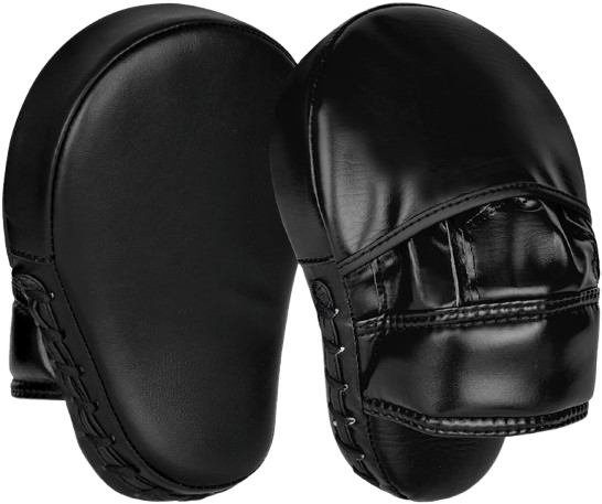 Focus Pads – Precision Training Gear - Zetra Shop
