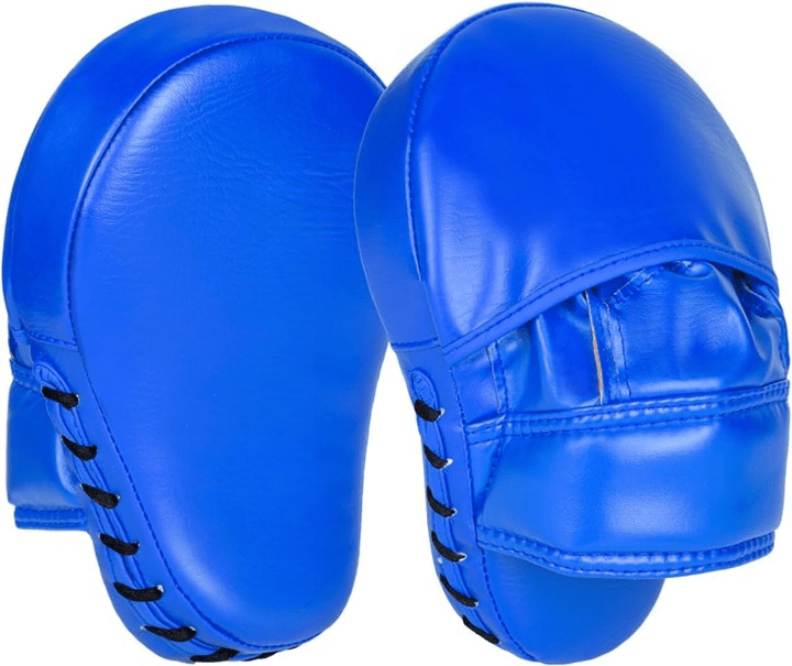 Focus Pads – Precision Training Gear - Zetra Shop